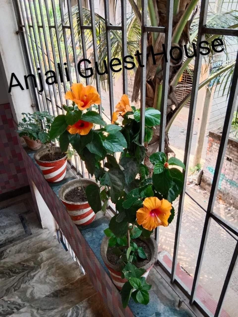 Anjali Guest House Digha  Esterno foto